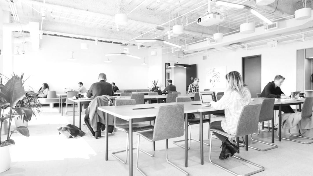 Individuelle Beratung während des Programms